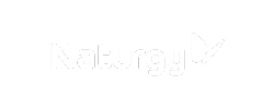 Naturgy