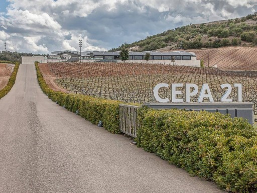 Artificial intelligence applied to the wine industry.